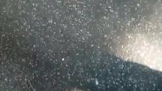 Nuttin Around In The Park