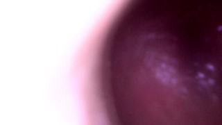 Anonymous Doll Creampie: Just the internal cam.