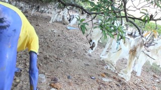 A Blue Digitmon Taking Off His Clothes / Bodypaint / Naked Body Art #1