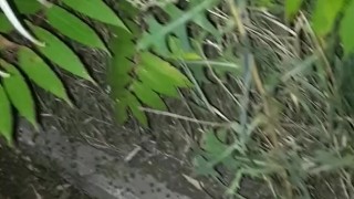 Outdoors masturbation