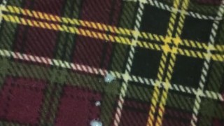 Quick Skeet on Plaid Sheets