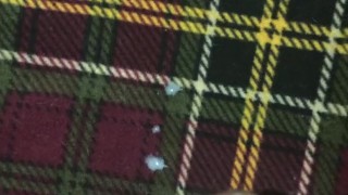 Quick Skeet on Plaid Sheets