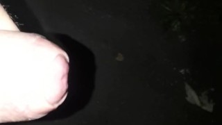 Flashing my Dick in public