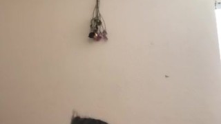 Twerk