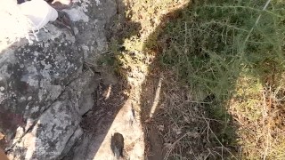 Incredibile scopata e creampie amatoriale sul dirupo - 1080p HD LustTaste