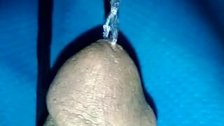Pee pee time