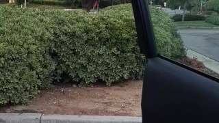 At the park