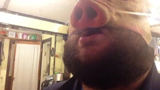 piggy paddin clip