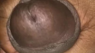 Dick play