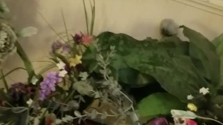 Watering the flowers