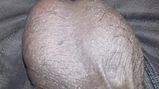pornhub mayanmandev video 170