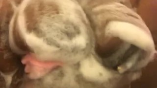 Soapy Titties