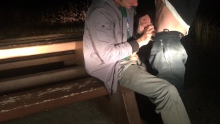 Rest area pullout turns into a boner sucking session