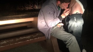 Rest area pullout turns into a boner sucking session