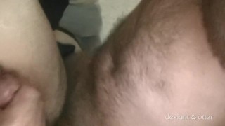 Breeding an Aussie Daddy