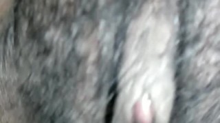 Close up cream pie
