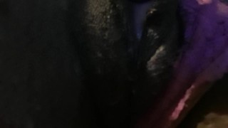 Ebony playing with pussy