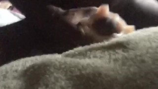 A snip from playtime