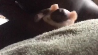 A snip from playtime