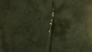 Always Horny