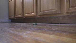 Tiny Truck in the Kitchen (slow motion)
