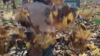 Falling leaves