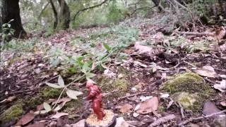 Giant naked lad in Wonderland (part 1)