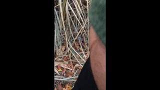 vlog #69 pissing porn