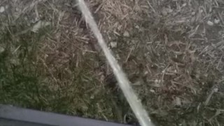 Pissing out my car door