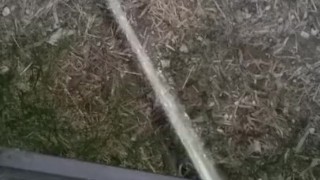 Pissing out my car door