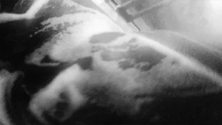 Soapy wet black girl