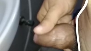 indian cock 2