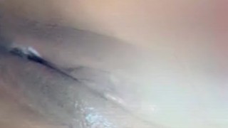 Wet Slippery Kitty