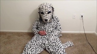 Celebratory Fursuit Jerkoff