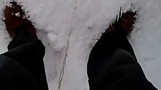 Peeing in the snow