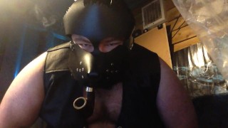 another leather pipe pup