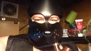 another leather pipe pup