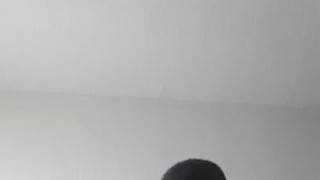 Bbw bounce