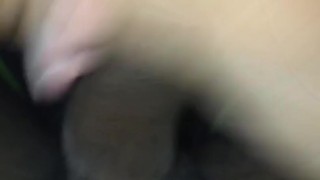 BbcslimD33zy