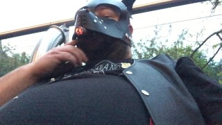 bear bash pup clip