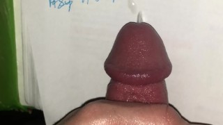 Huge Cumshot Kitchen Table of Friends House