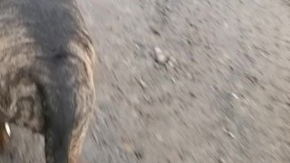 Heavy tattooed milf Burning off my chubby belly on a run