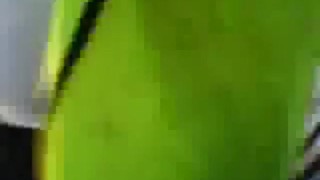 old hivis belly vid