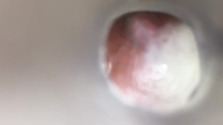 Fleshlight Internal Quickie