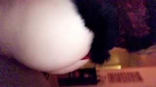 All I Want For Christmas