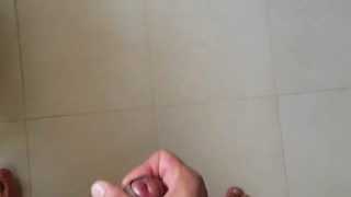Sega Mattutina