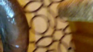 Enjoyed a great nut that came out my jungle jim..