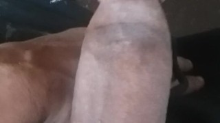 Morning Wood Big Dick