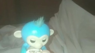 Cutest Lil Monkey Hanging On By A Toe.. Lol