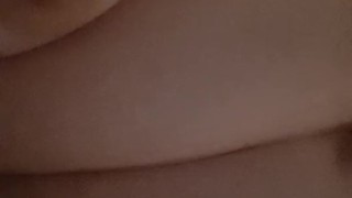 Pig playing with belly and udders